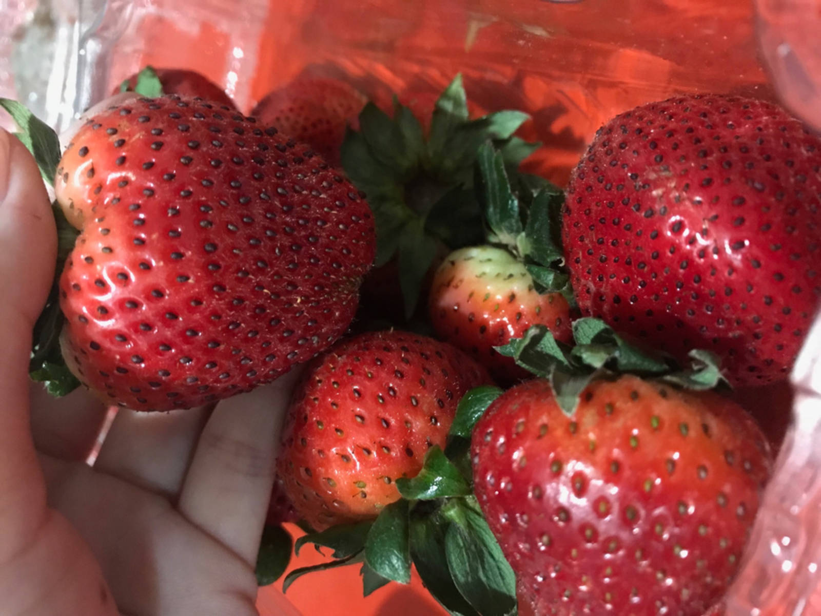 『草莓』臺語要怎麼說?