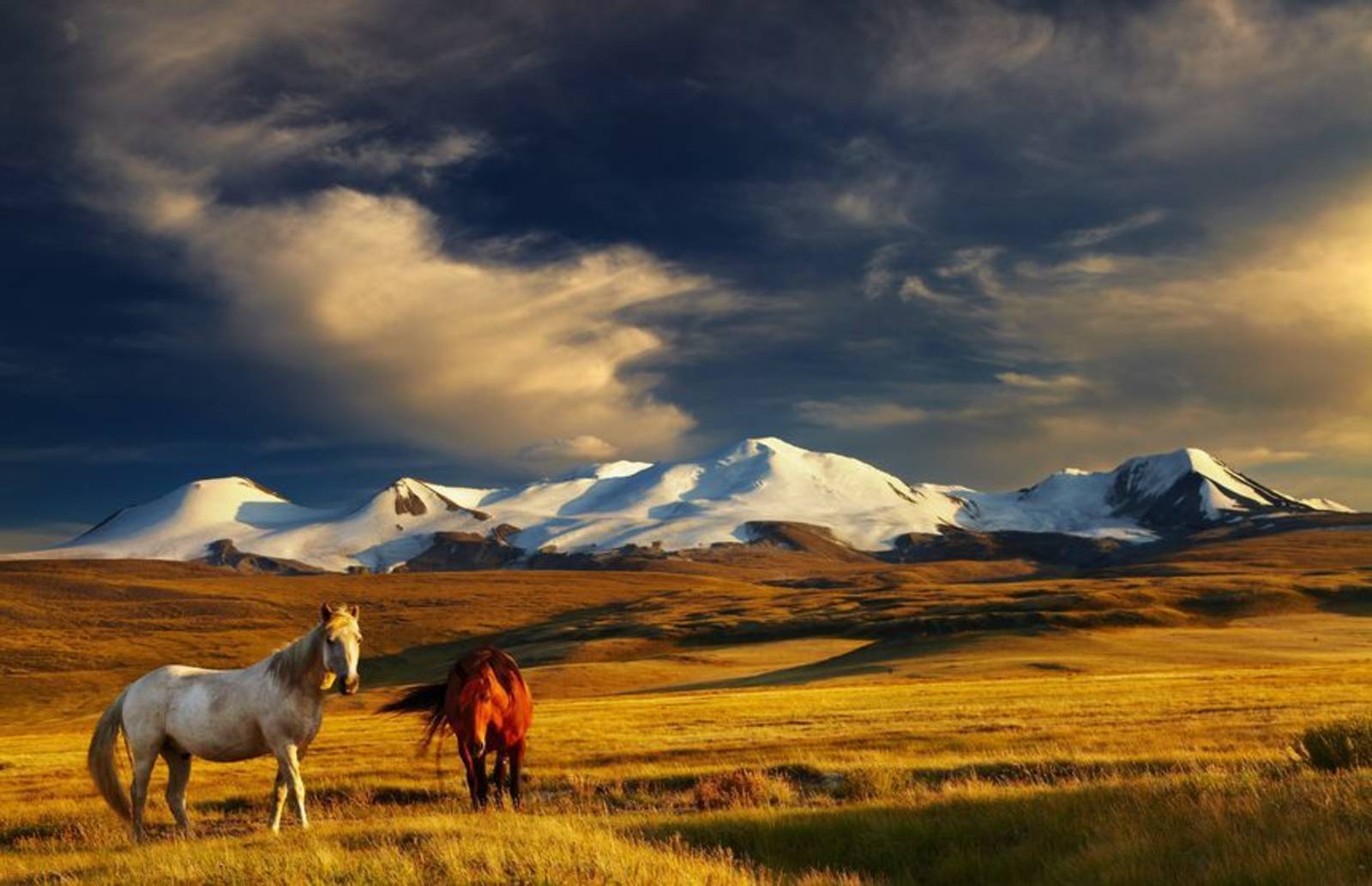 世界第二大內陸國家--蒙古