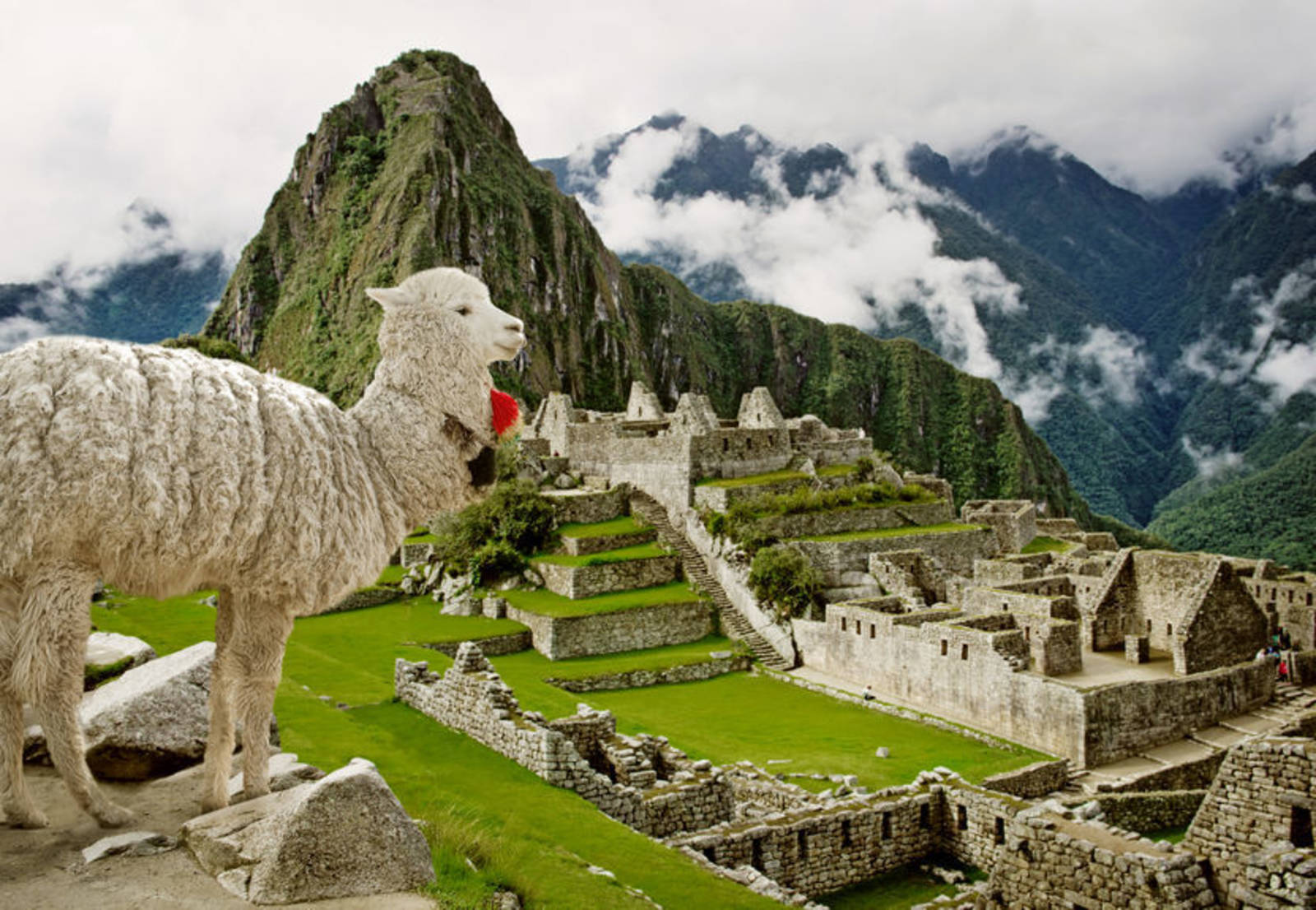 印加文化的發源地--秘魯