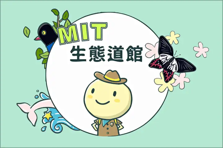 MIT生態道館-封面