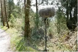 111年金鐘獎入圍節目-自然筆記(教育文化節目&主持人獎)-封面