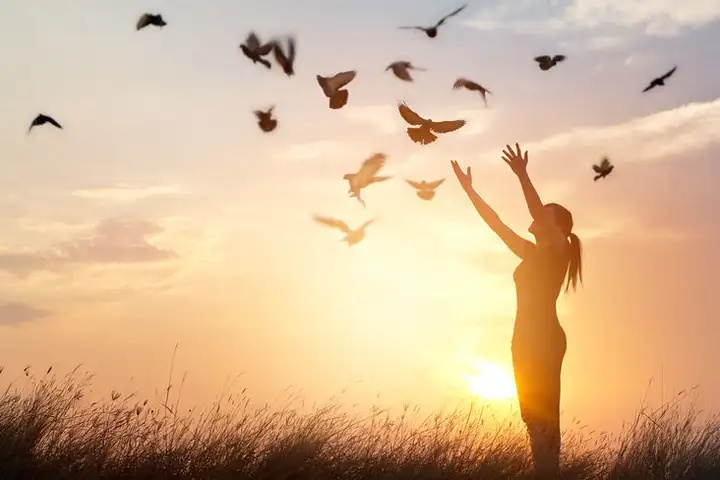 111年金鐘獎入圍節目-無毒有我(社會關懷節目&主持人獎)-封面