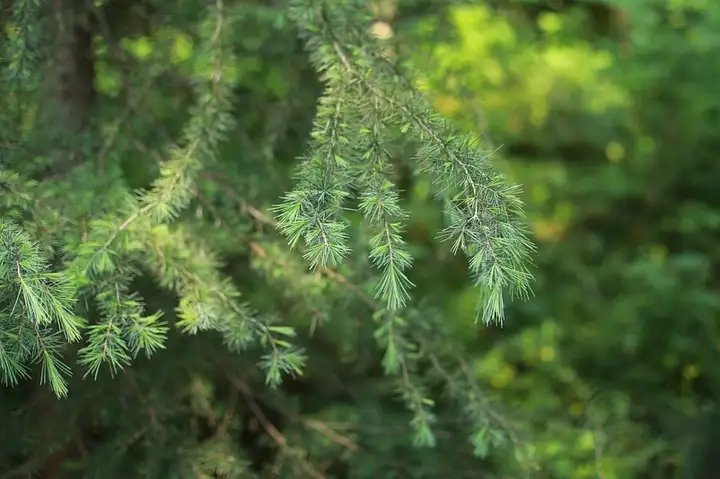 巷仔口的臺語-封面