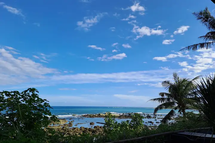 阿政先講臺灣(113年)-封面