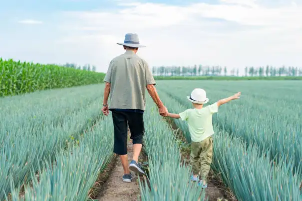 Formosa 阮兜(114年)-封面