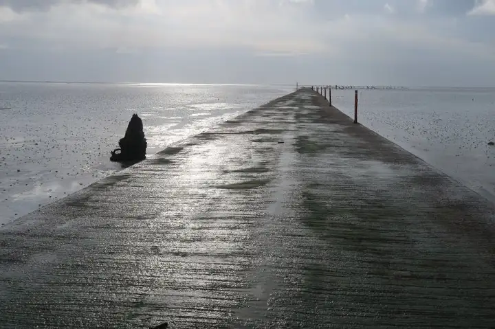 入圍 - 聽，濕地上的螃蟹在唱歌-封面