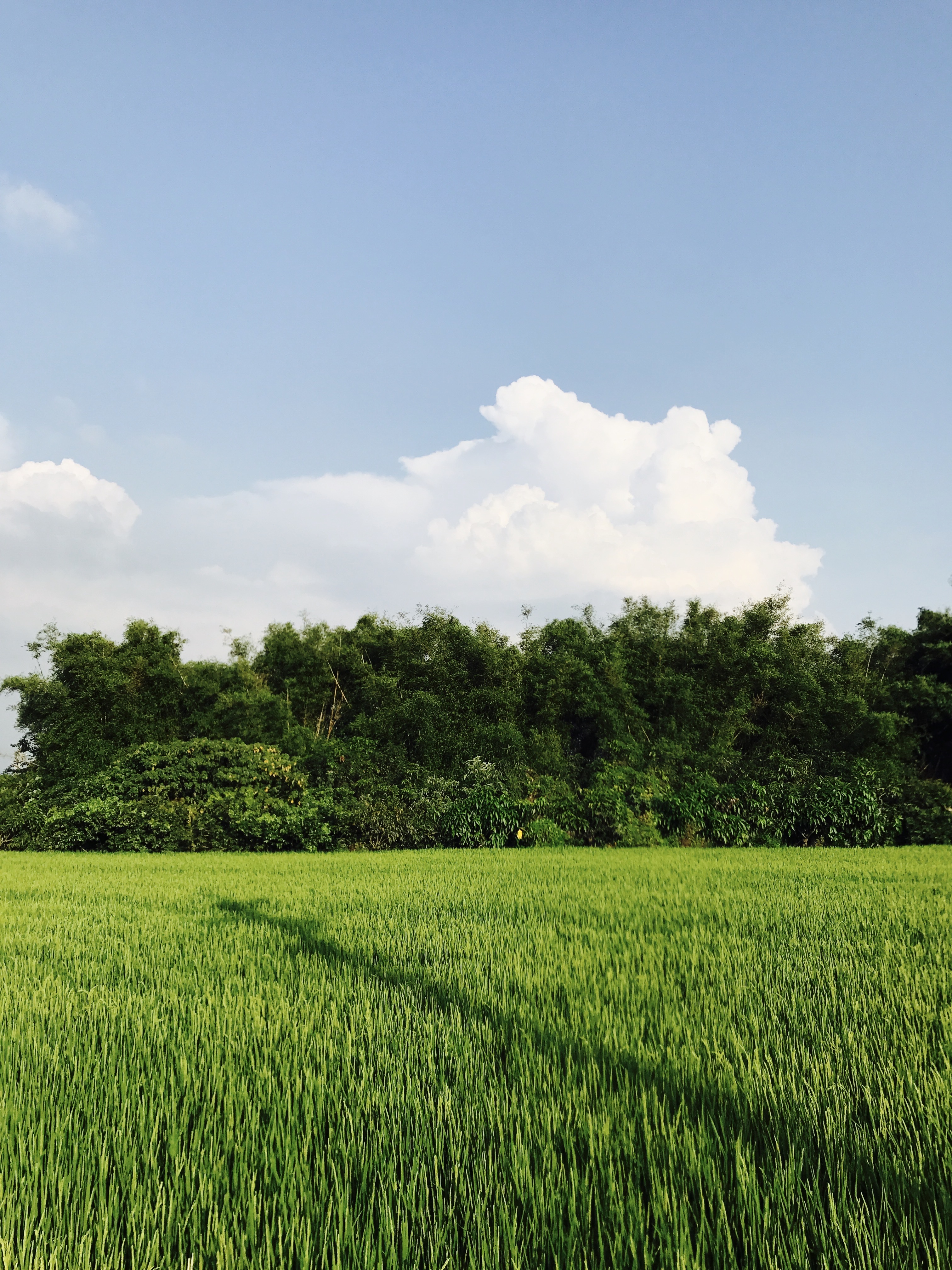 台語文學新時代