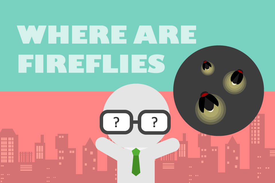  城市「螢」回來  系列報導(一) ：火金姑不見了 