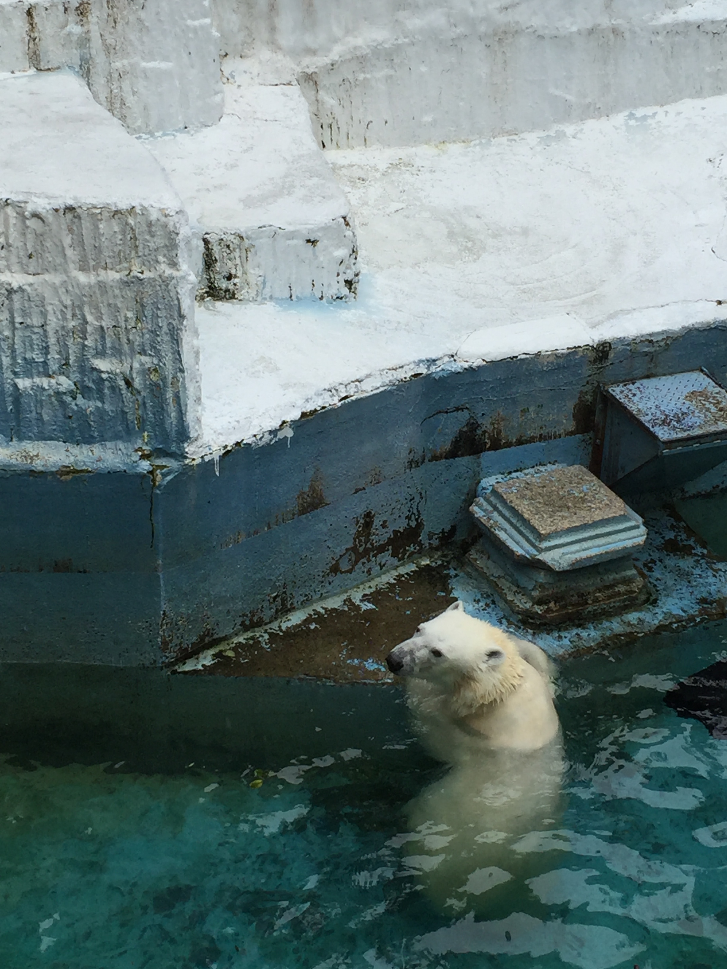 物種消失的危機