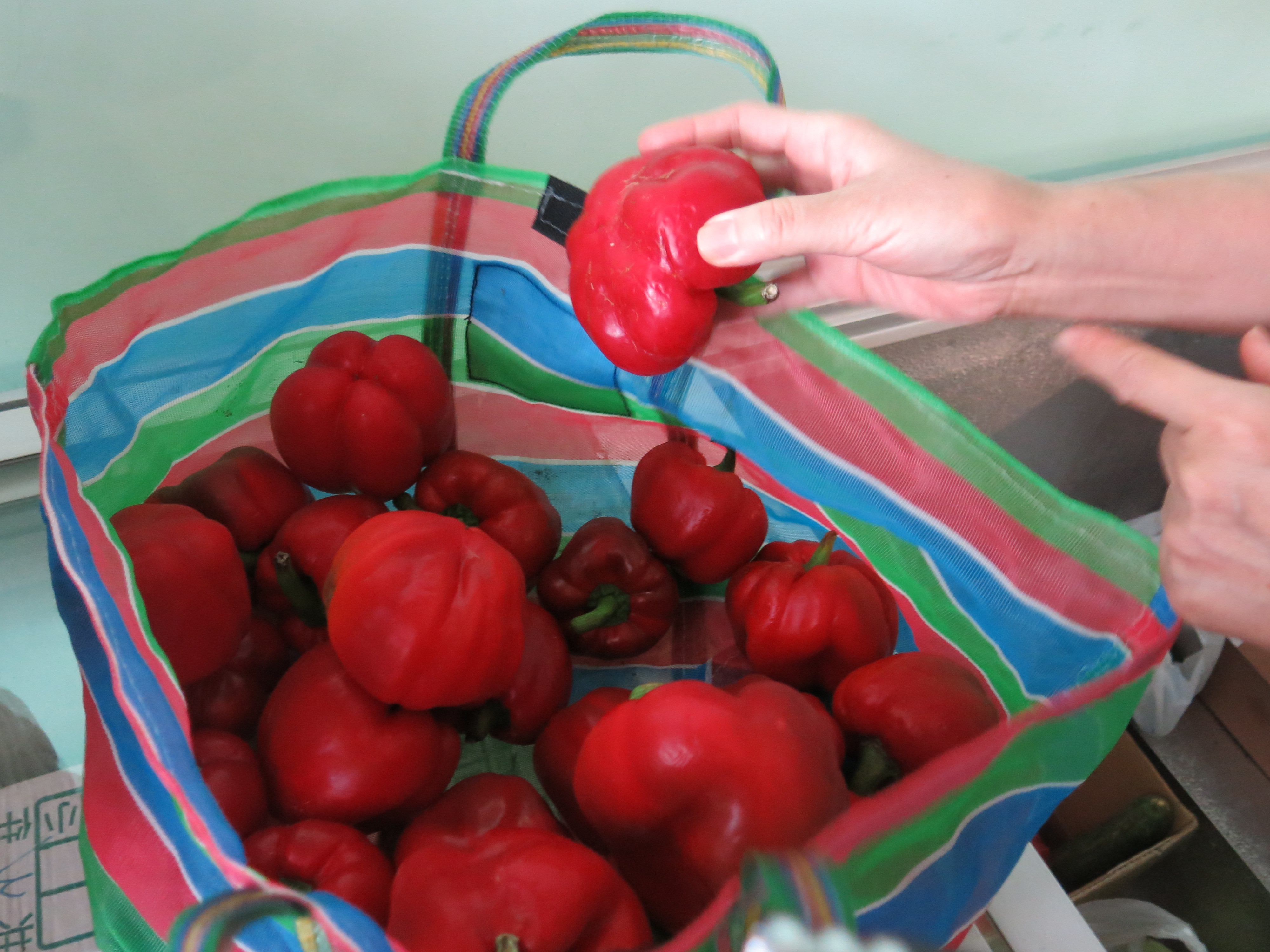 艷紅甜椒，也是漂亮