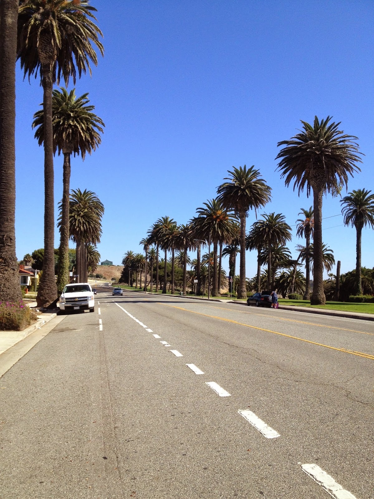加州著名的，隨便的，美景🌴🌴🌞🌴🌴