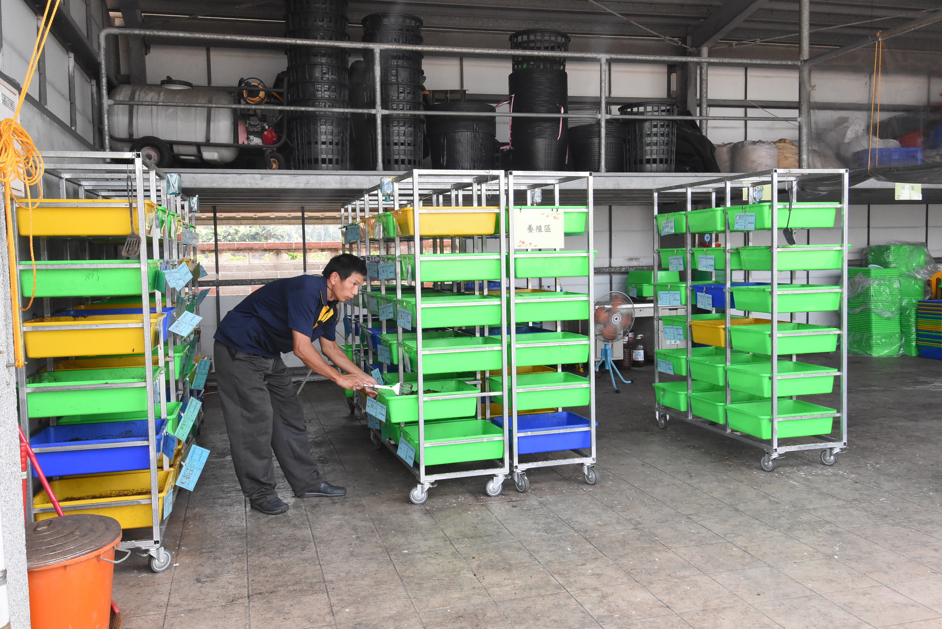 彰化縣田中鎮清潔隊黑水虻的飼養區