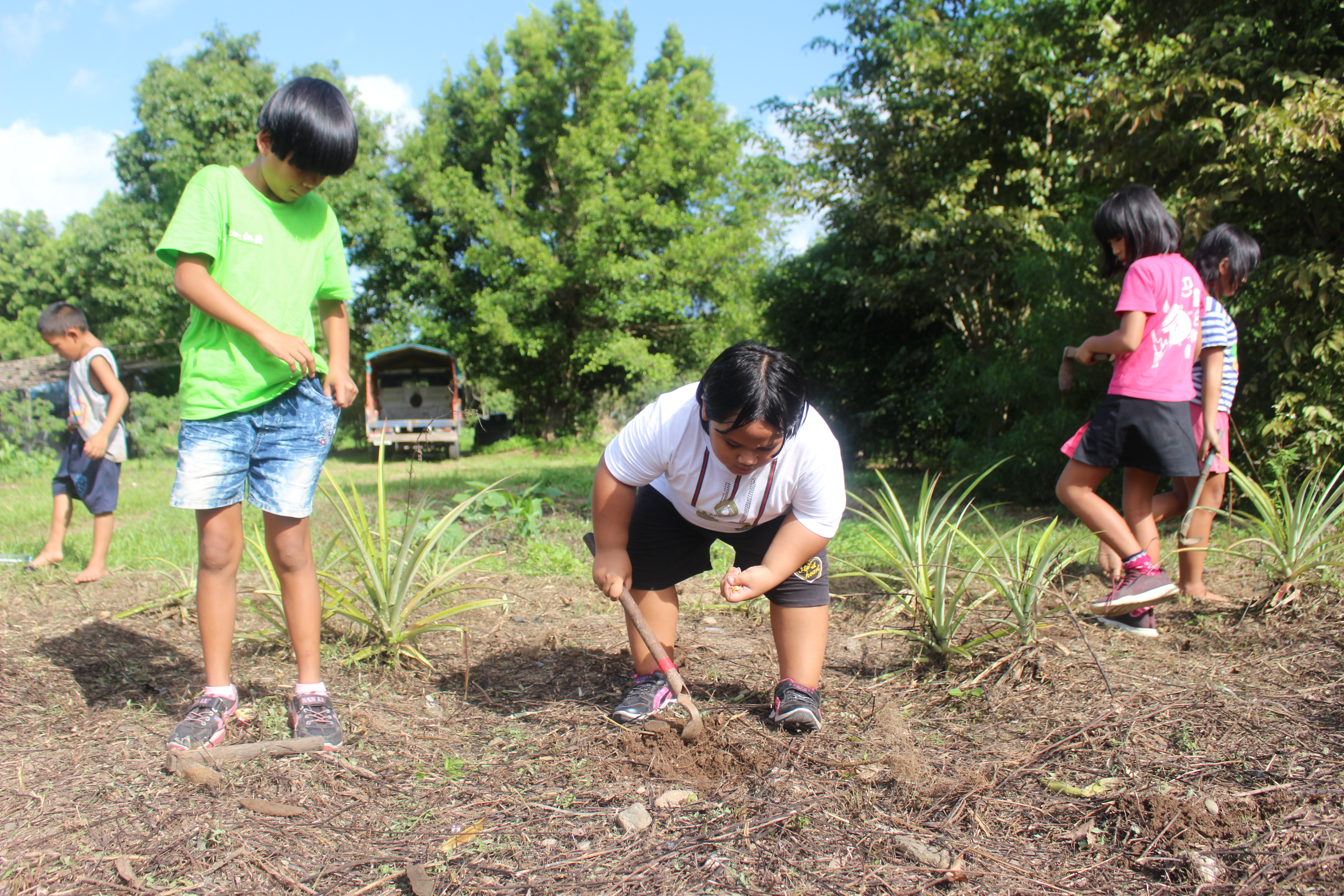 桃源國小食農教育