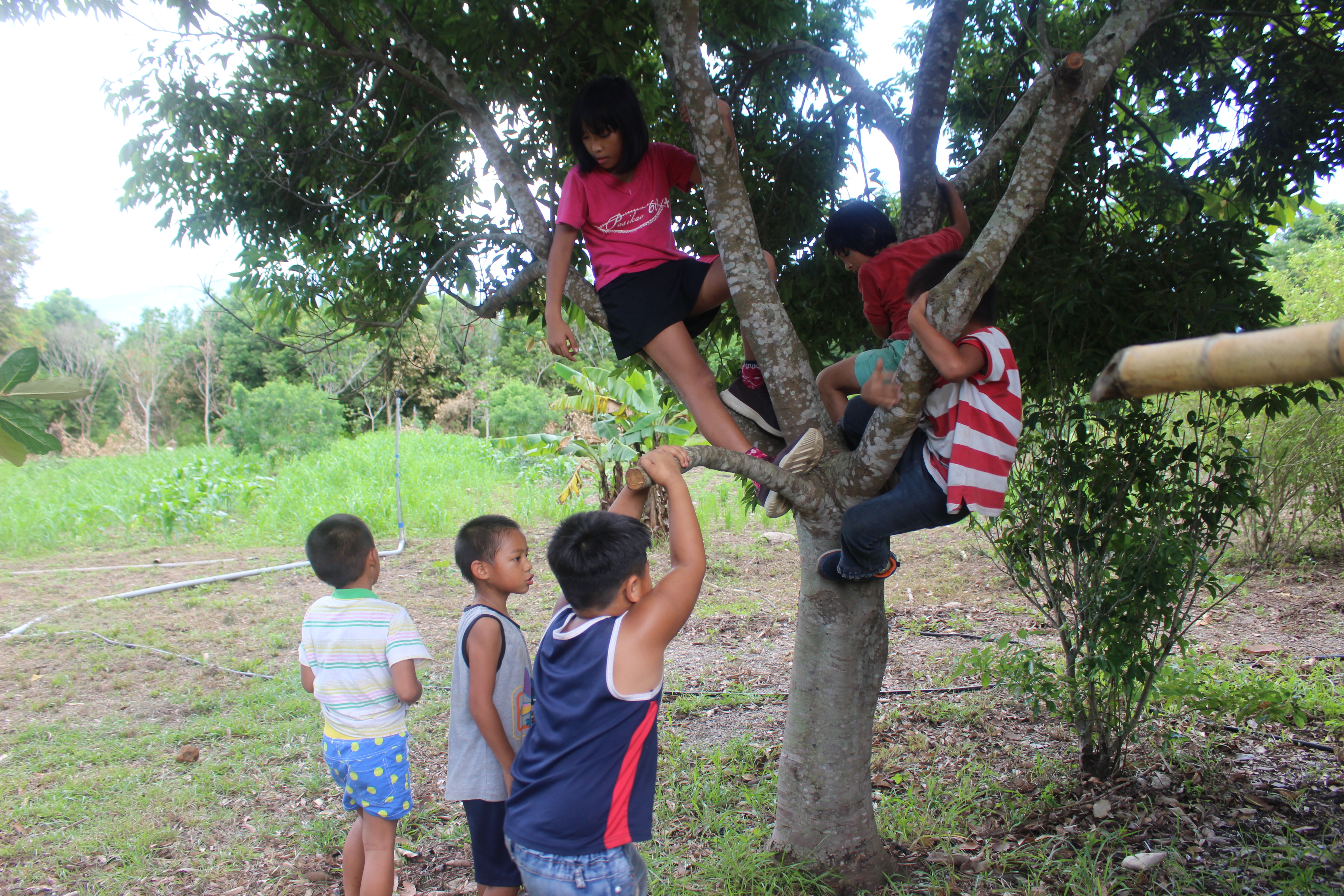 桃源國小食農教育