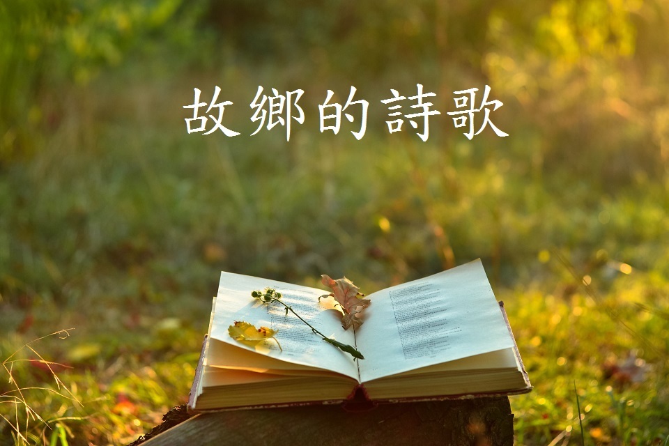 故鄉的詩歌 