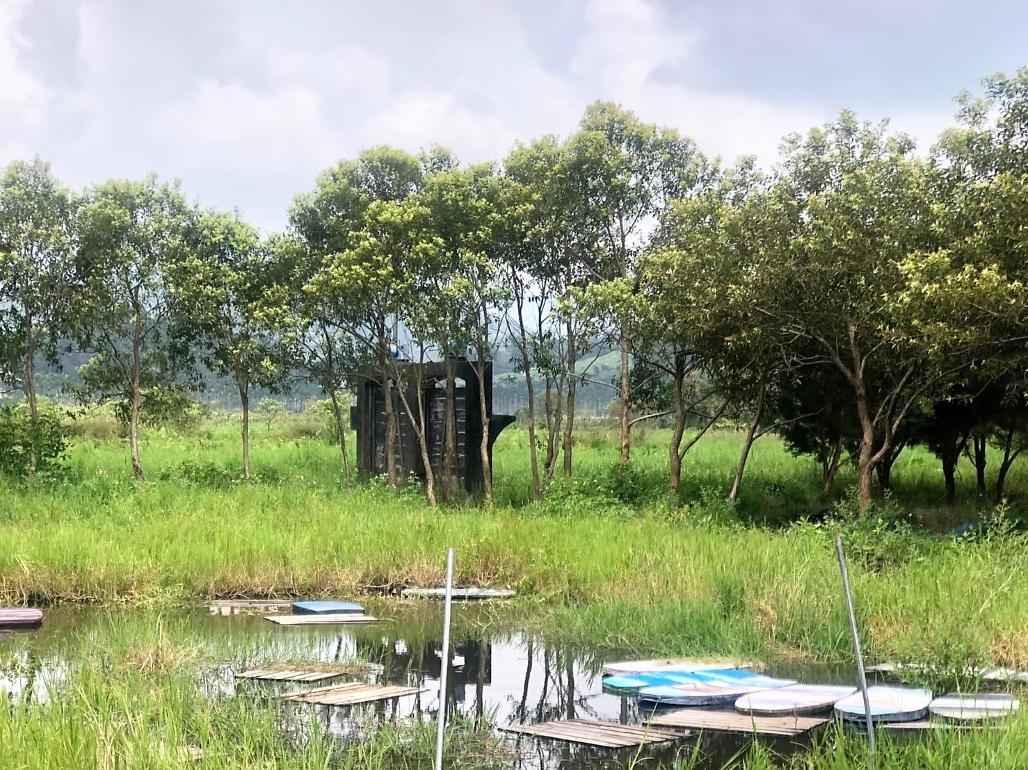 南投縣魚池鄉先民為了種植作物，打造「浮在水面上的田」。(圖片來源：南投縣文化局)