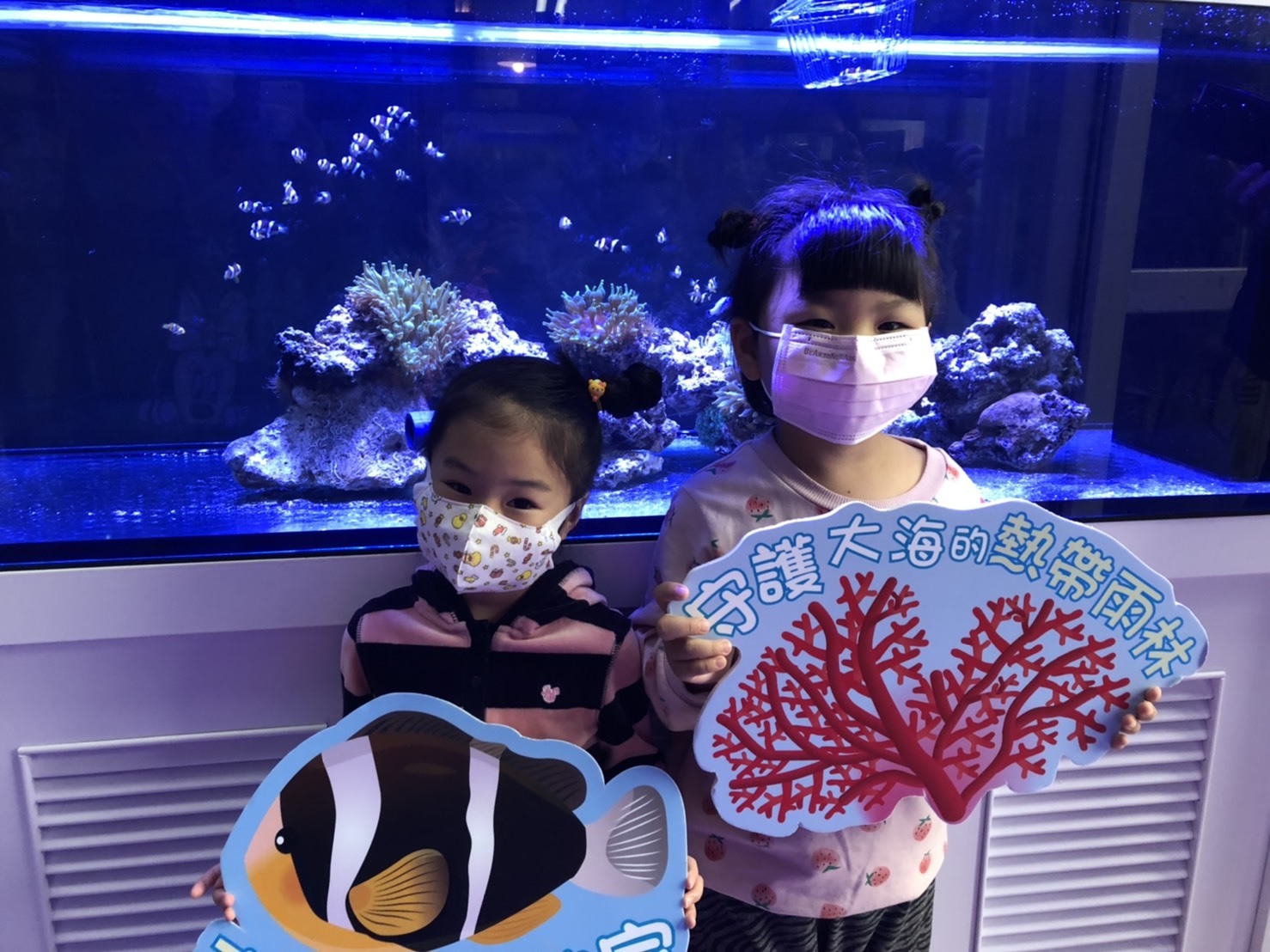 和美國小產官學合作復育小丑魚 小朋友開心和魚寶寶合影