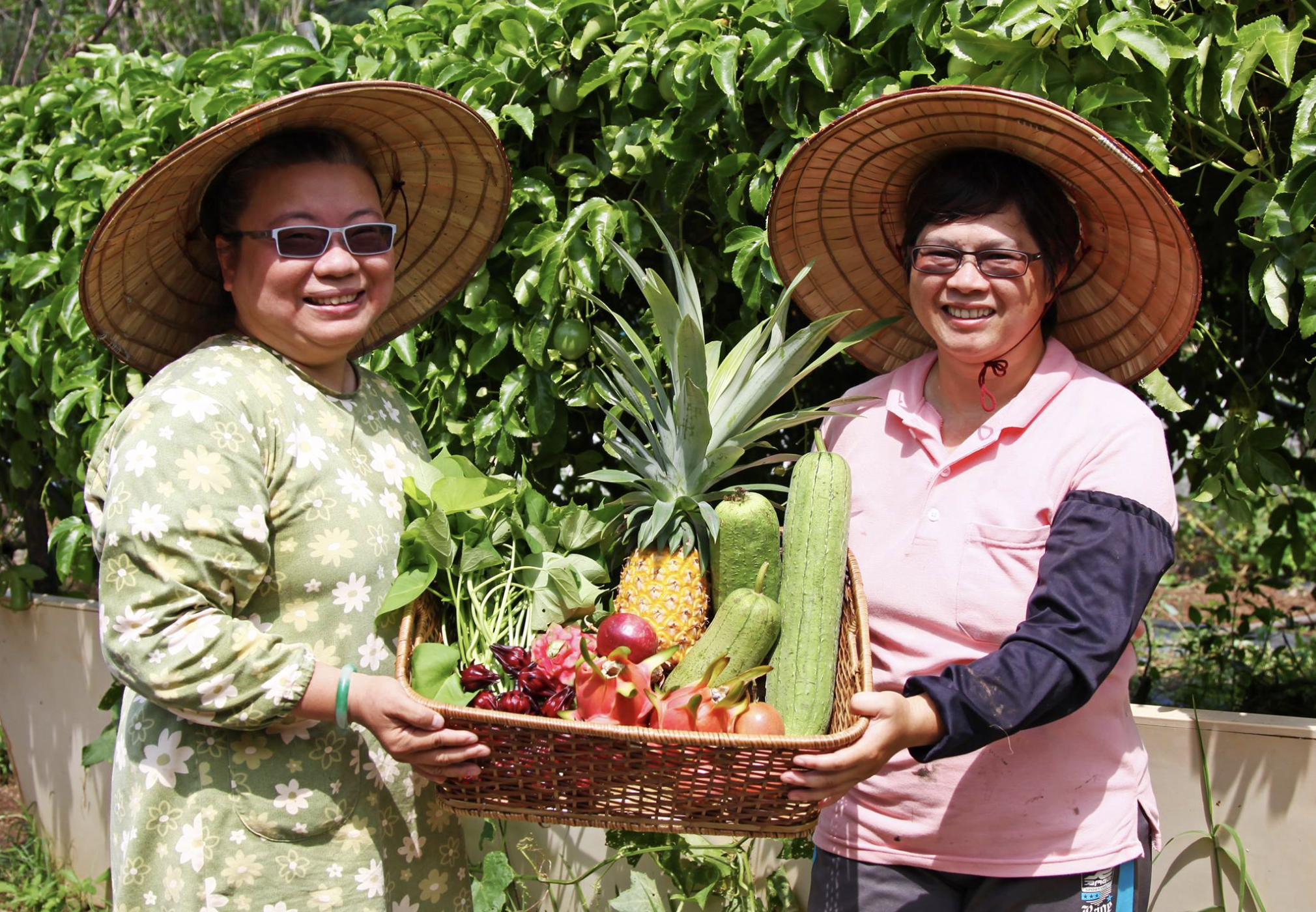卡莎&蝦蝦開心農場