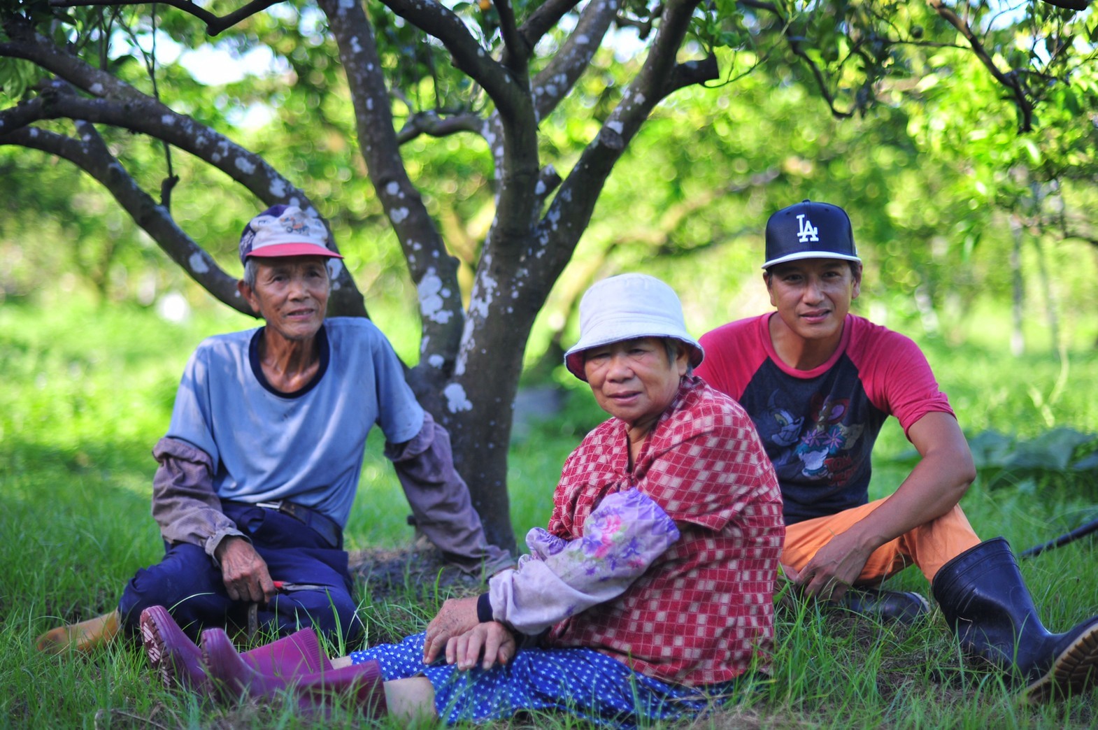彌勒有機果園第一代與第二代