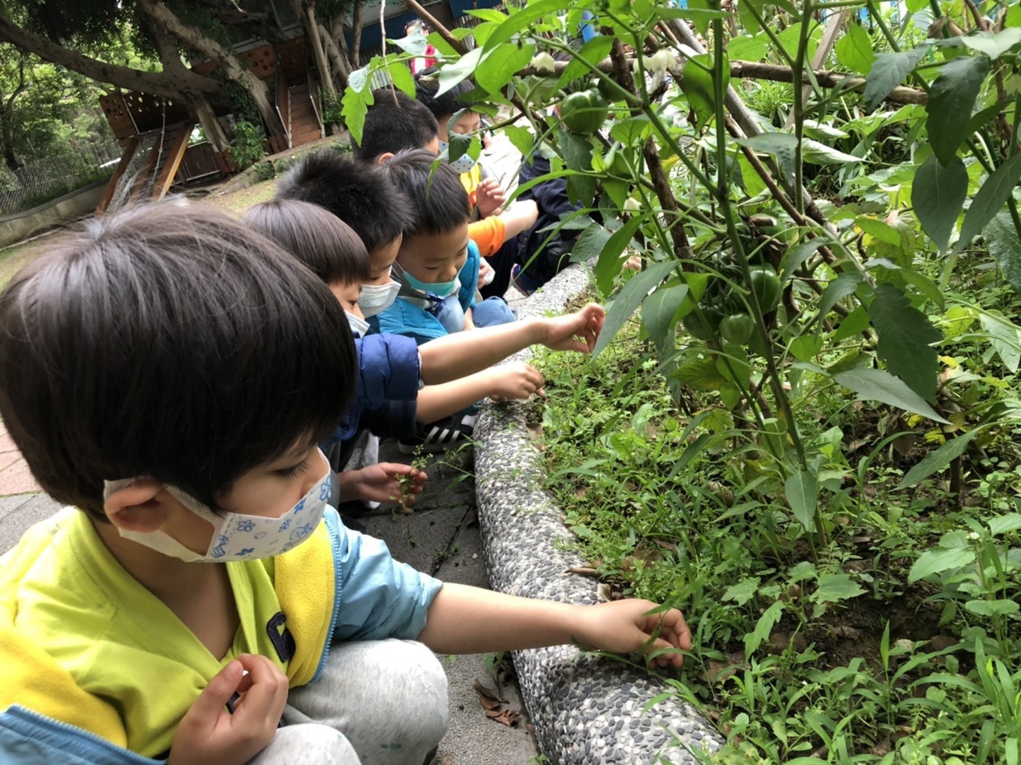 螢橋非營利幼兒園親自大自然