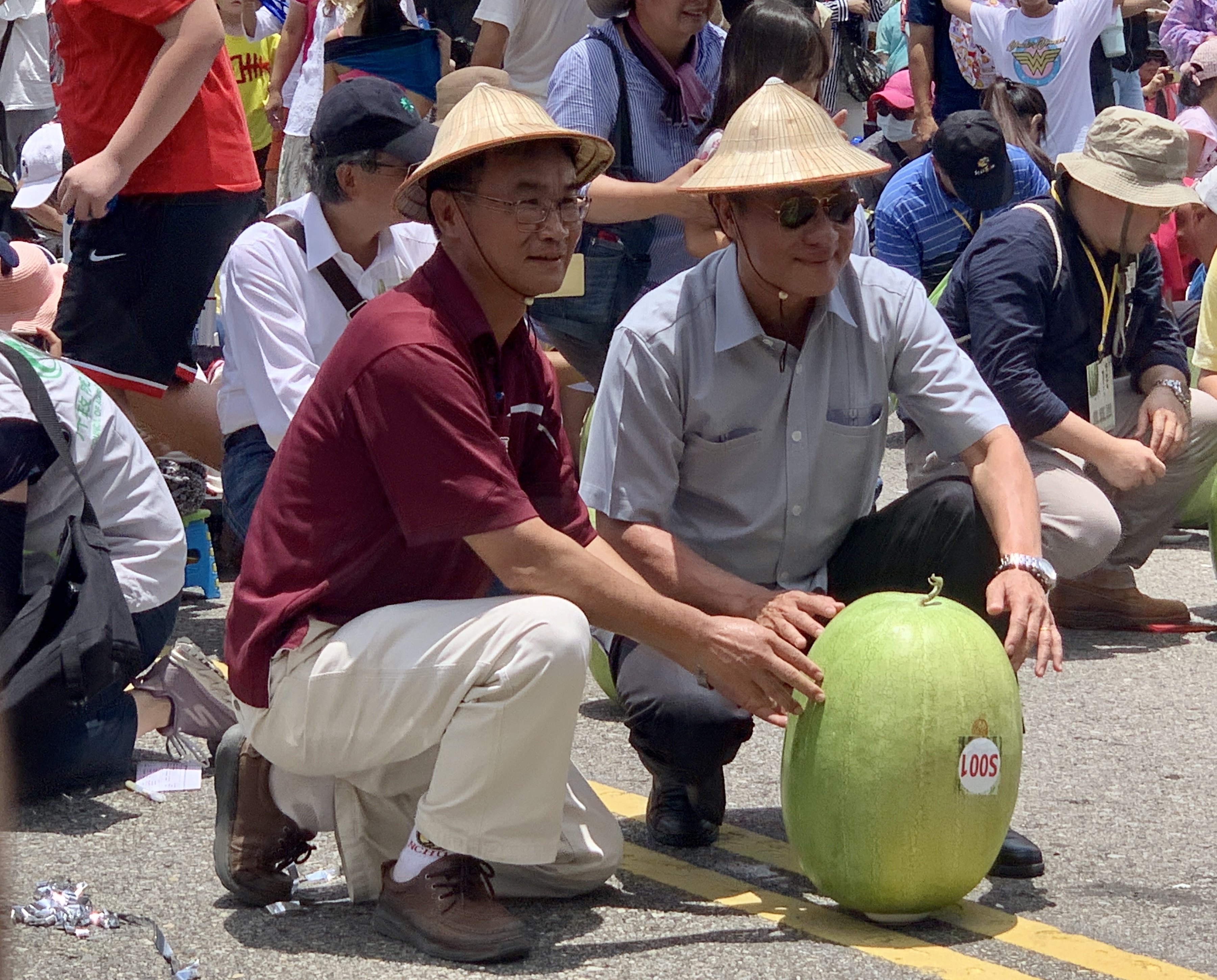 農委會主委陳吉仲(左)、總統府秘書長蘇嘉全(右)及屏東縣長潘孟安攜手千位民眾共同立起999粒大西瓜。