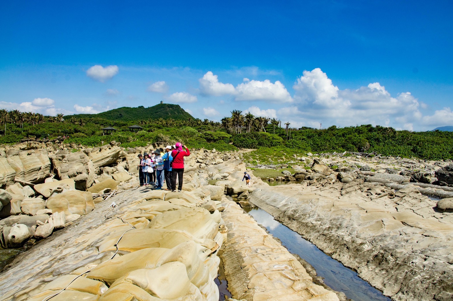 地質公園再添生力軍，臺東小野柳正名「富岡地質公園」。
