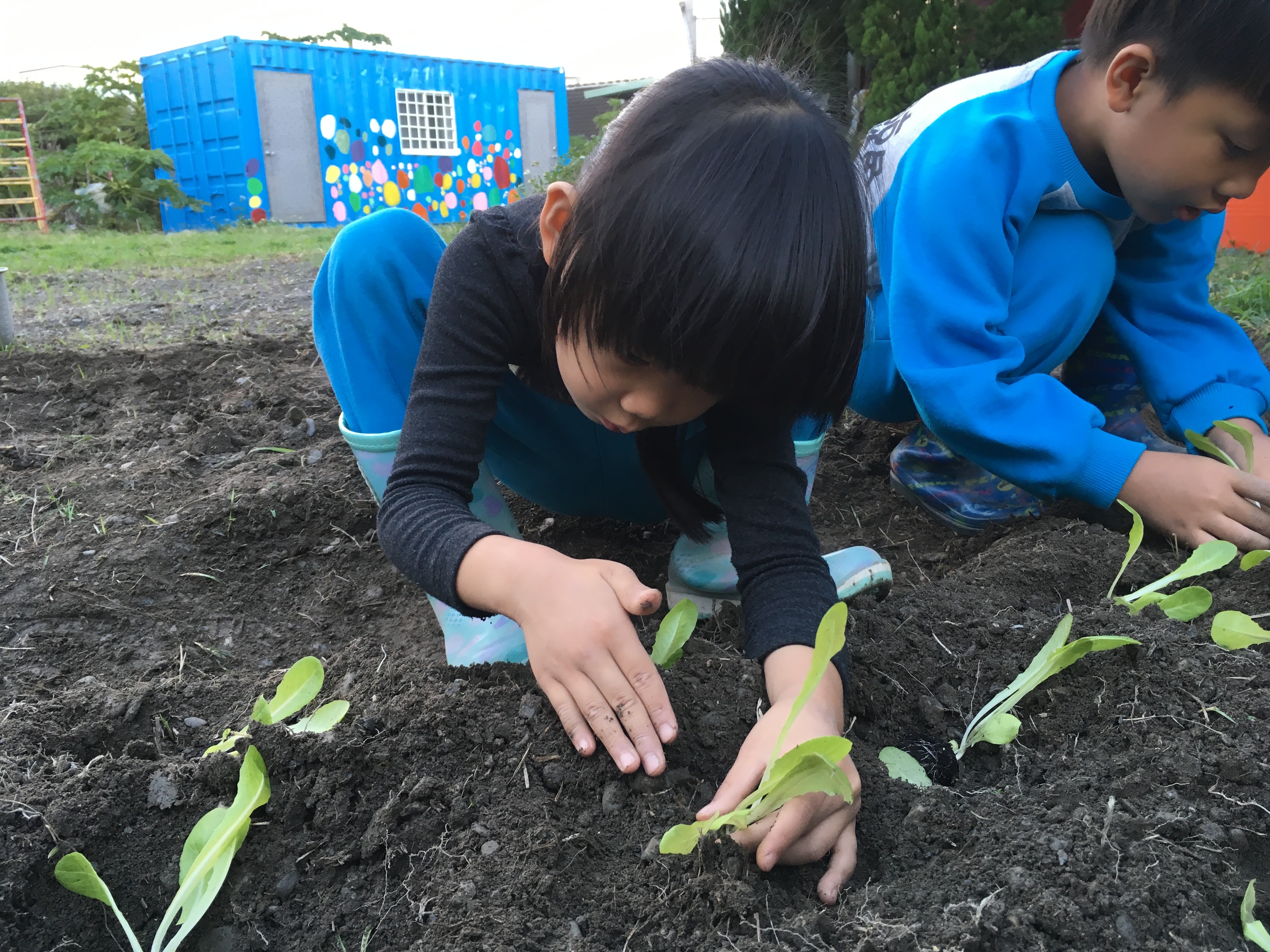 小鯨魚非營利幼兒園種羅蔓.jpg