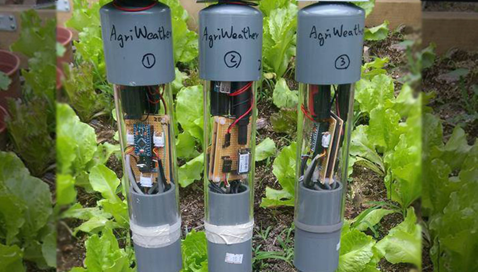 農地感測器.jpg
