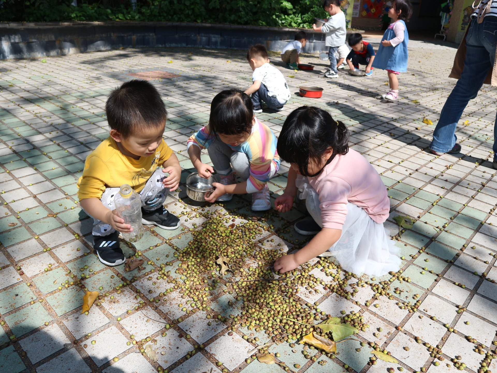 黃鸝鳥非營利幼兒園 戶外教案.jpg