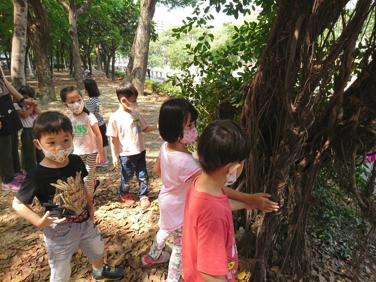 雄愛河堤觀察大樹.jpg