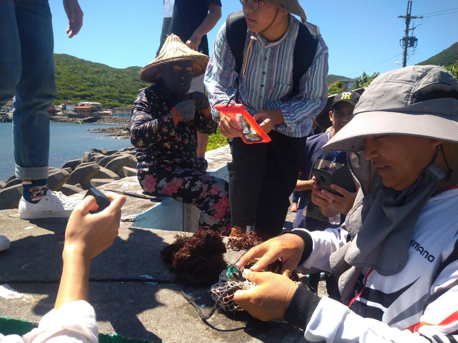 里長與海女講解石花菜採集過程