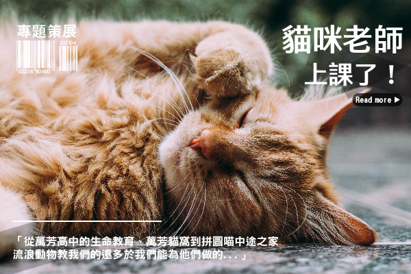 貓咪老師上課了！