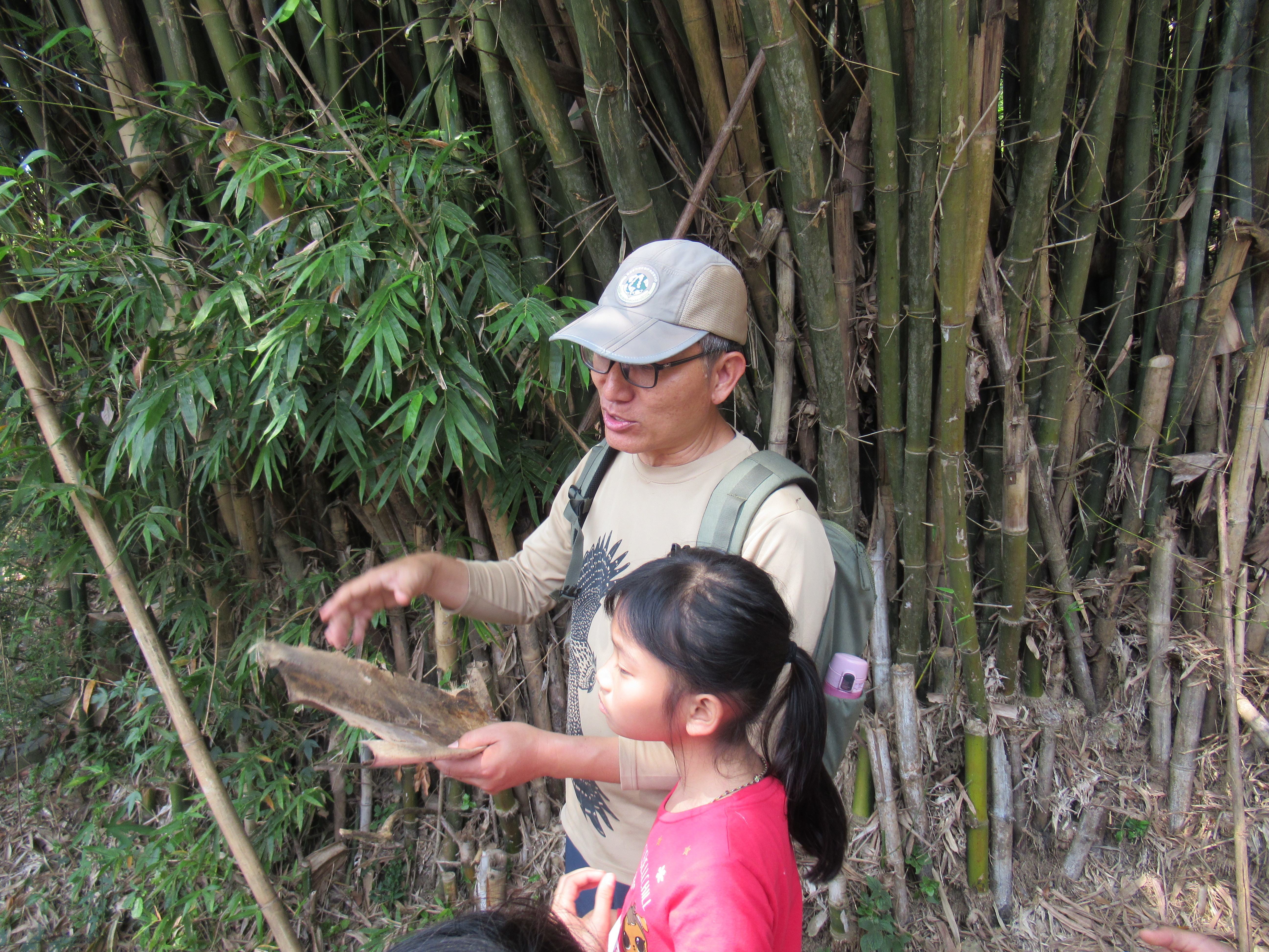恐龍老師解說著沿途發現的「竹籜」。