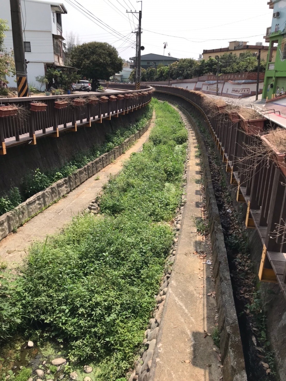 乾淨的龍目排水溝