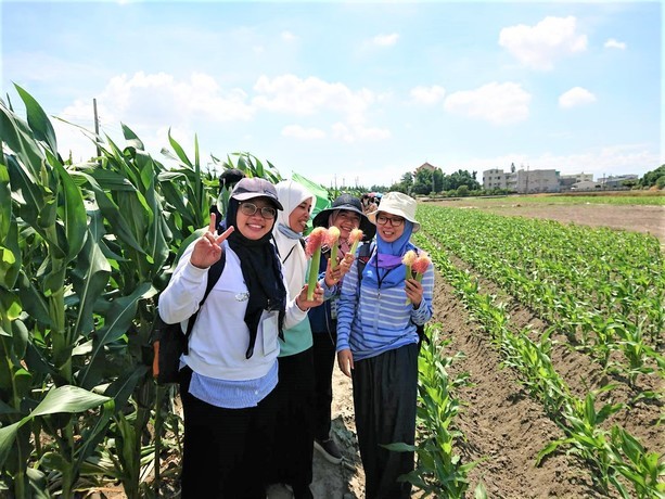 應化系師生以費洛蒙技術協助農民維護生態環境（圖片來源：朝陽科大）