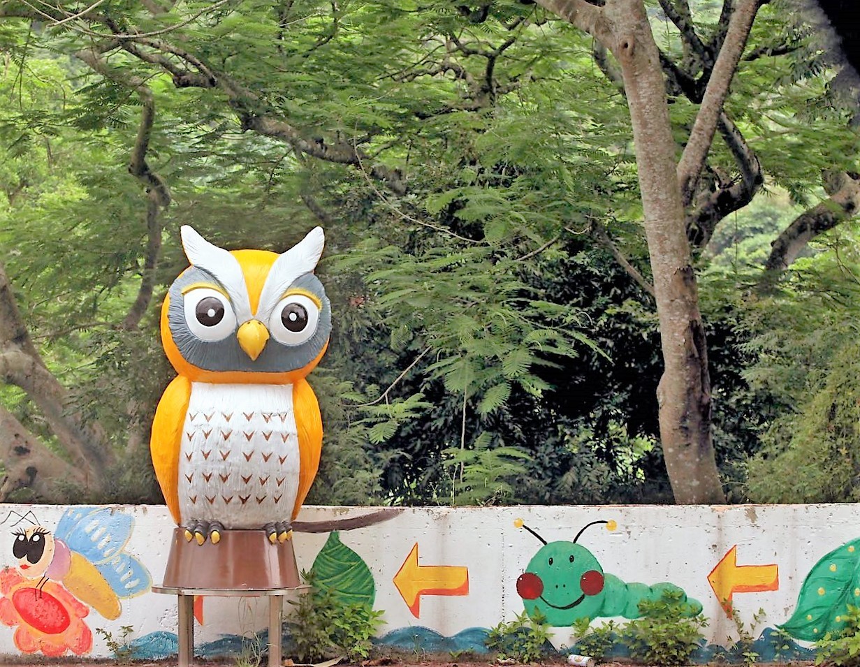 桐林社區復育貓頭鷹並有「咕咕村」稱號(圖片來源：林淑鈴提供)