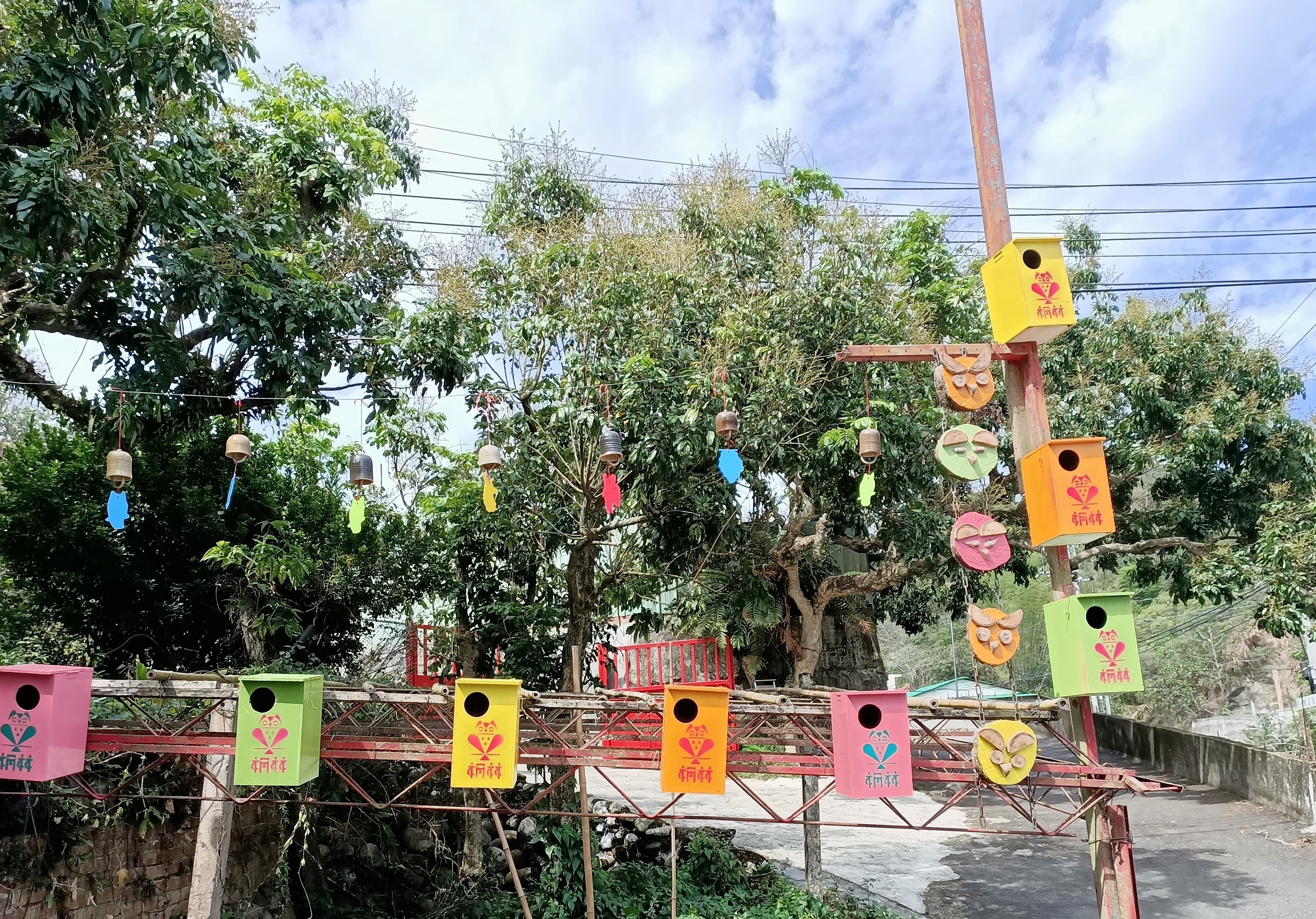 桐林社區居民掛上巢箱希望能讓貓頭鷹前來居住育雛(圖片來源：林淑鈴提供)