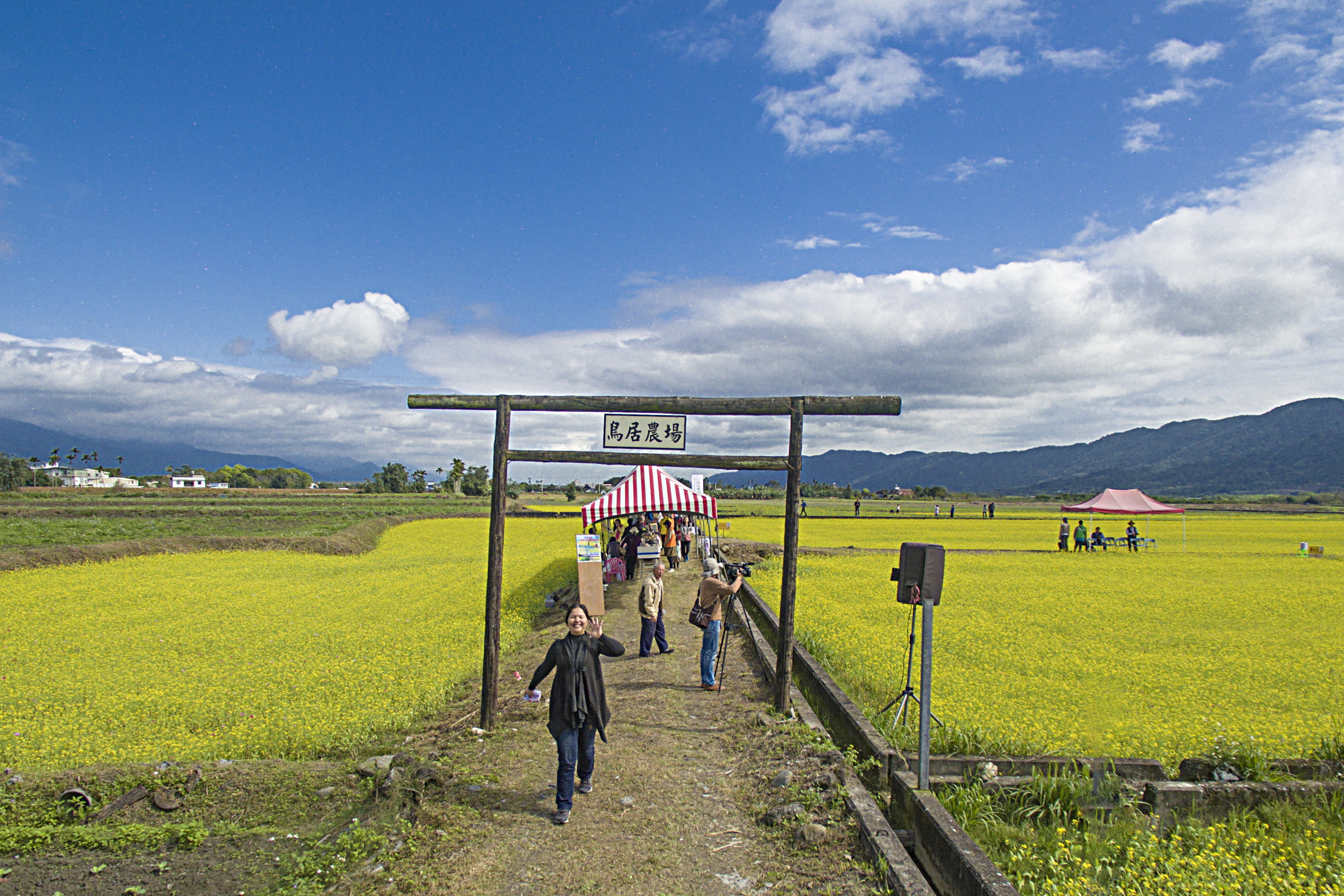 鳳林景點-鳥居農場花田鄉村市集