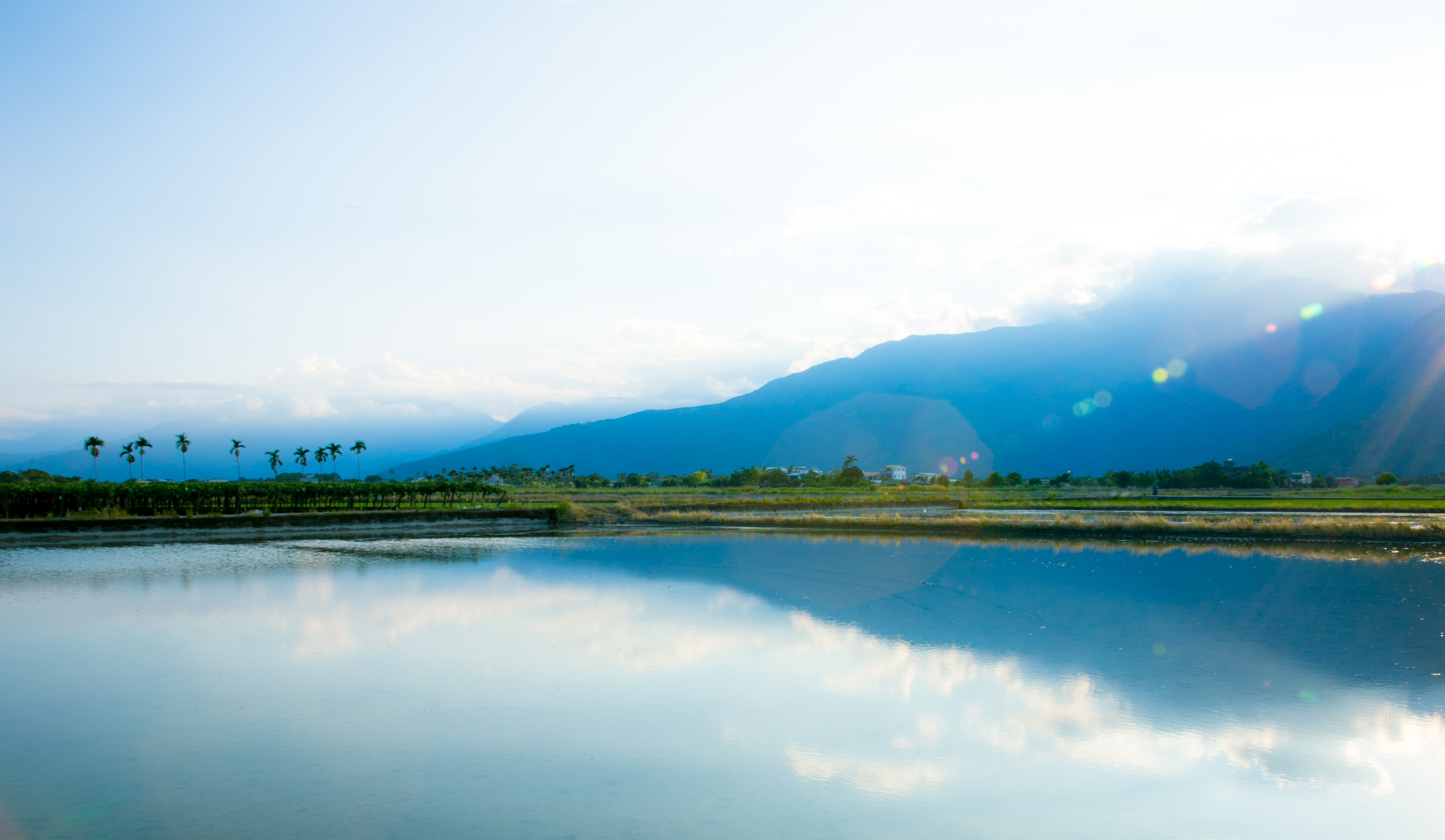 鳳林景點- 水田映山景