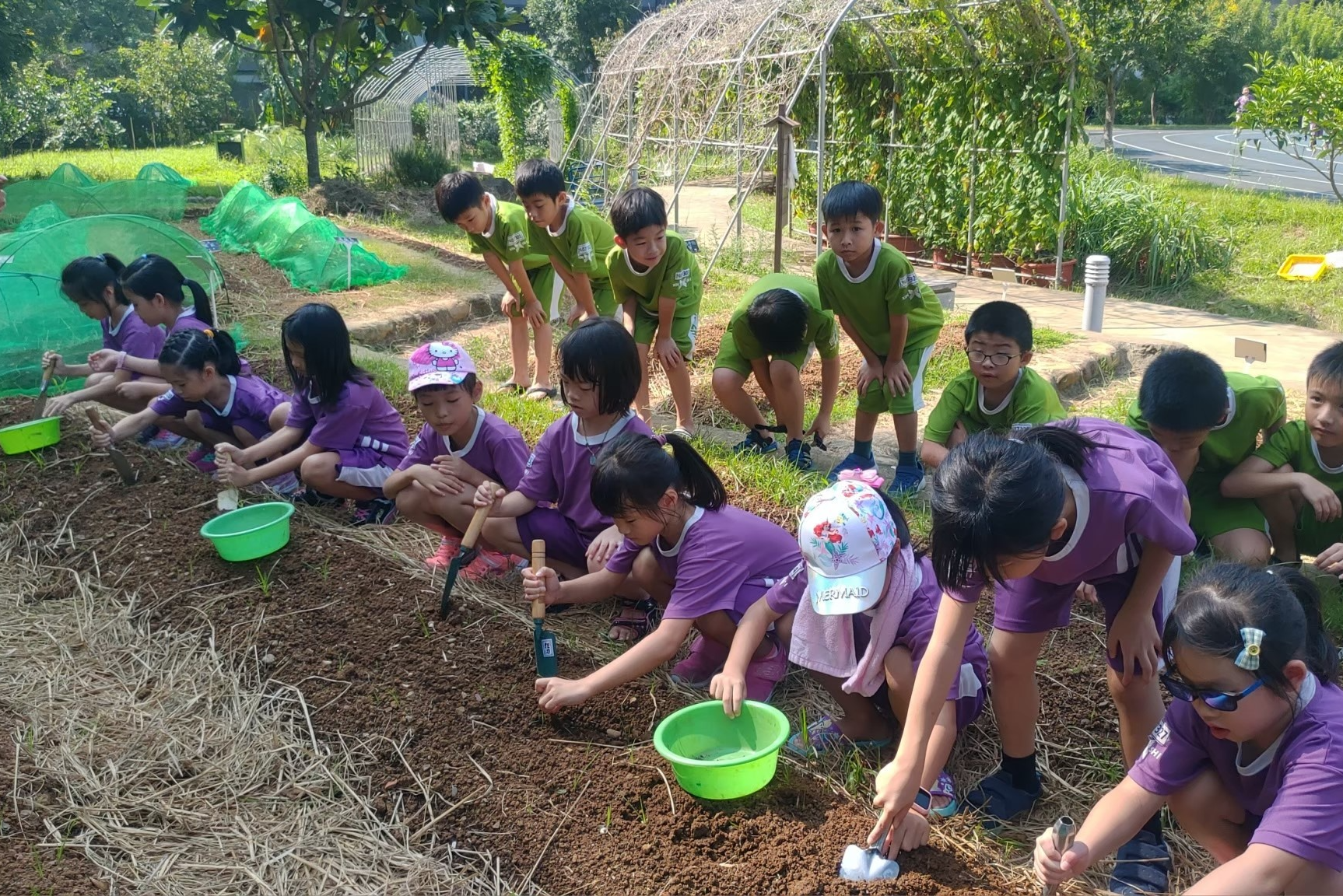 體驗泥巴到嘴巴、種子到餐桌的食物里程，圖為新巿國小二年級種胡蘿蔔(資料照)