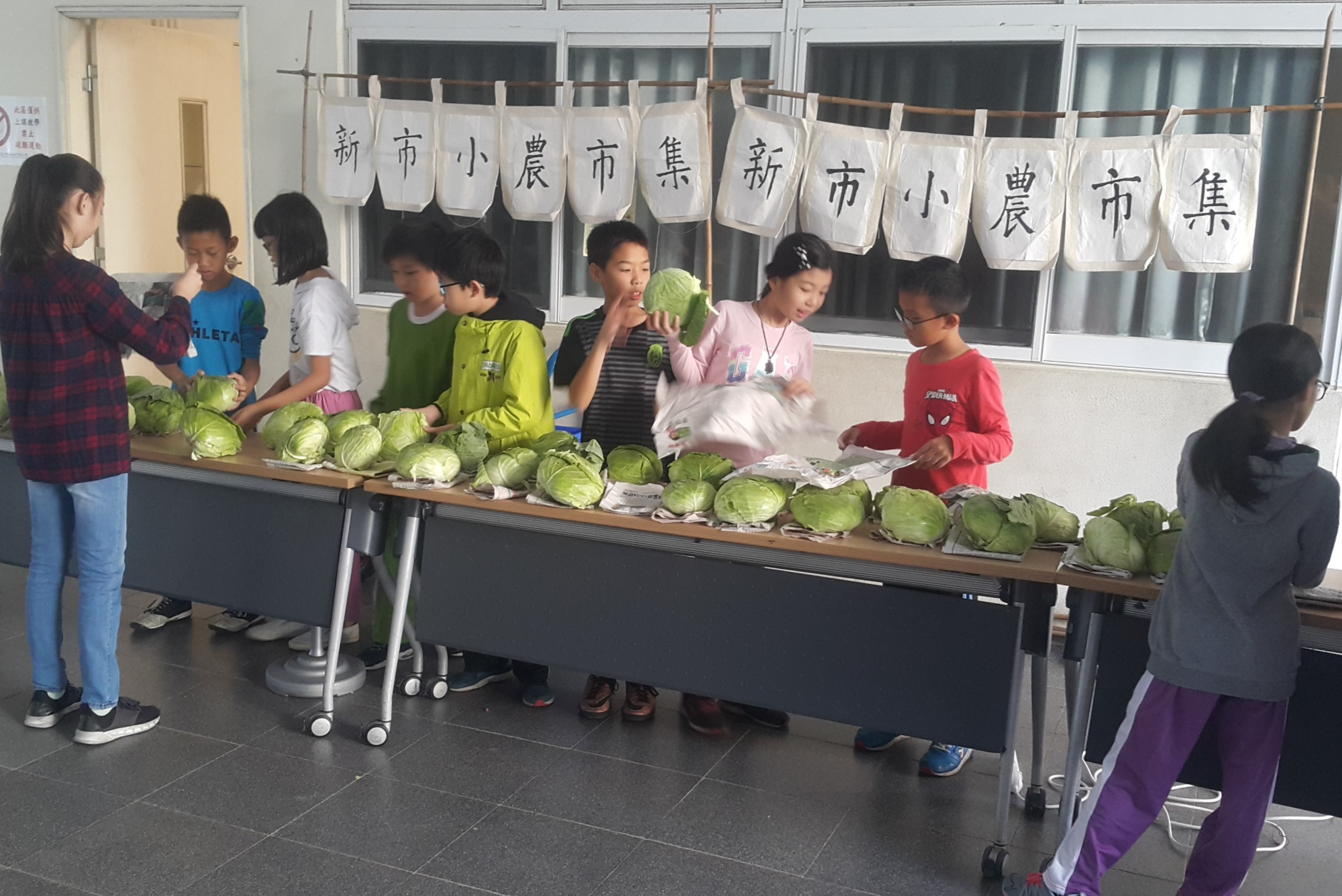 新北食農樂活巧營造，圖為新巿國小四年級學生在小農市集販售高麗菜(資料照)