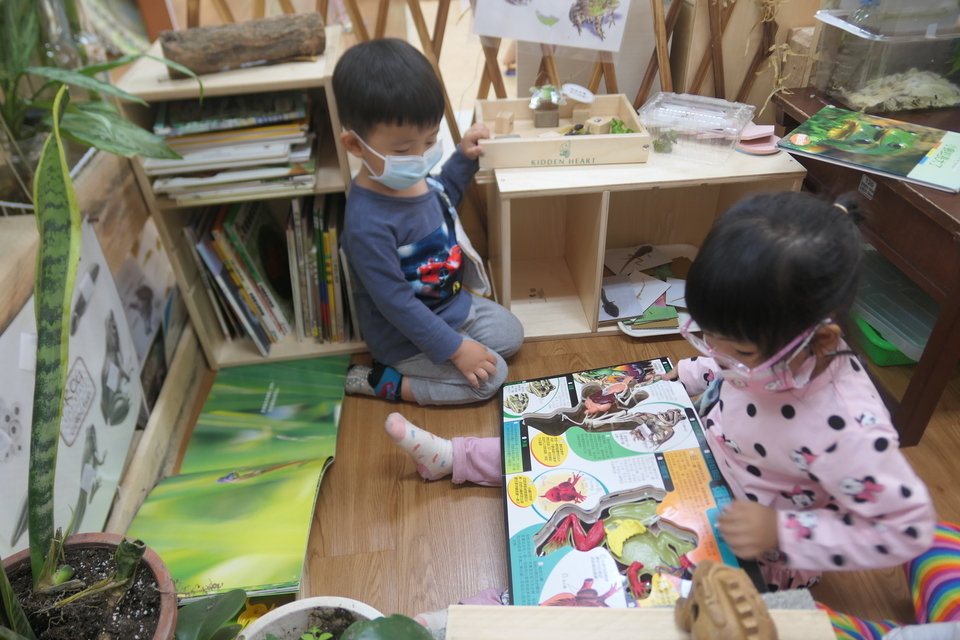 基隆市長樂國小附幼將教室外觀察帶回教室進行延伸學習 (教育部提供)