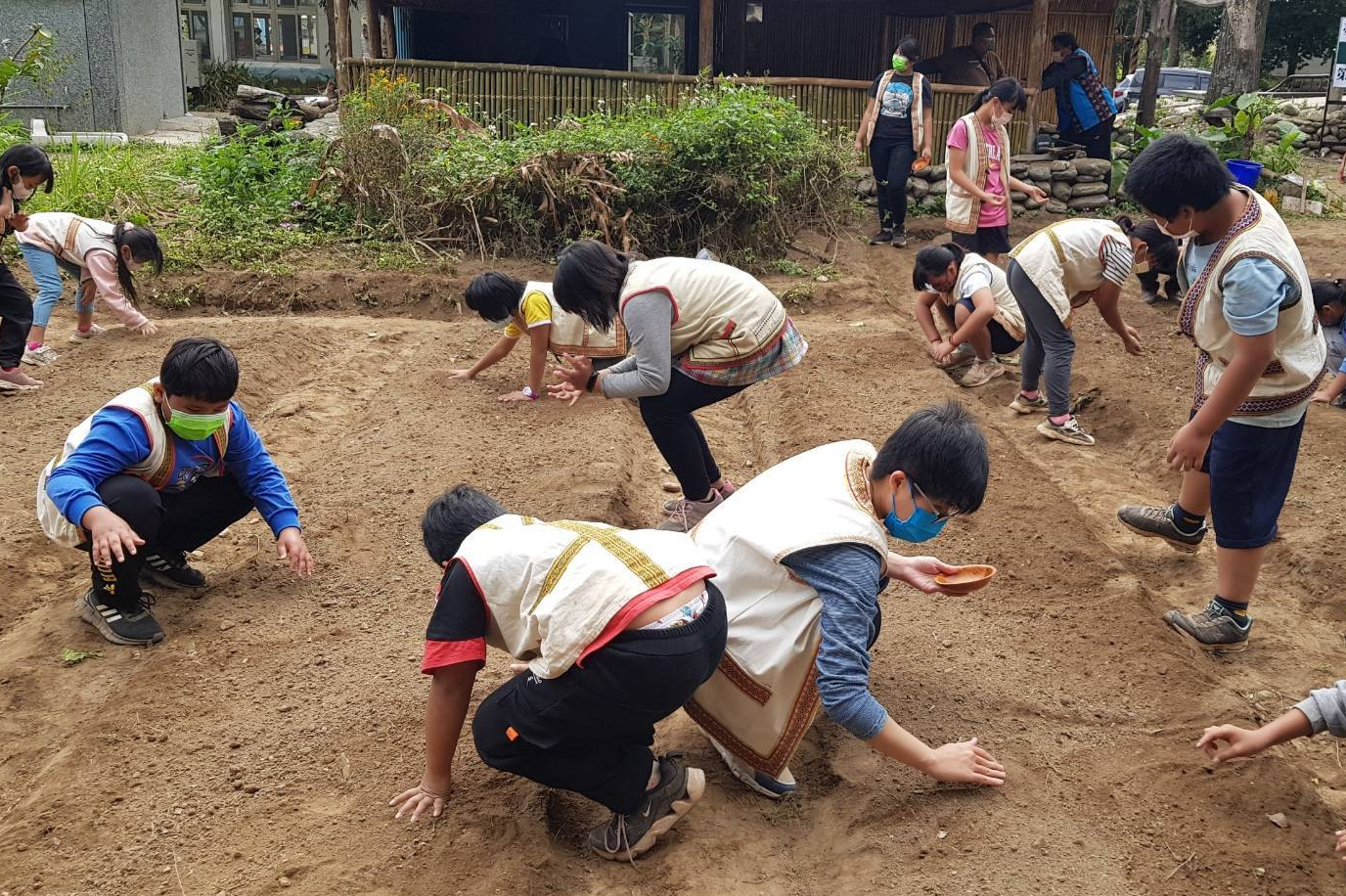 結合布農文化小米播種祭