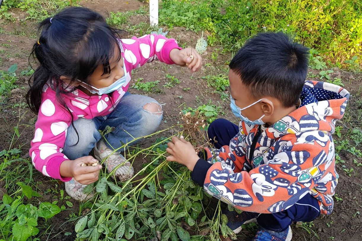 幸福農場蔬菜大豐收