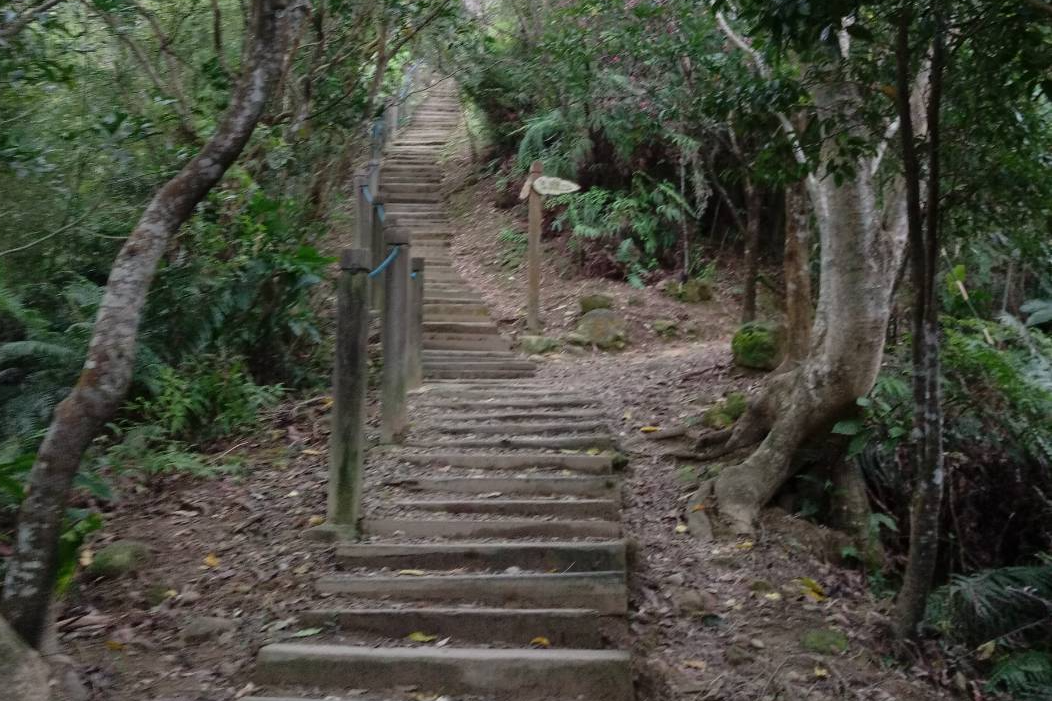 和美山步道登頂階梯