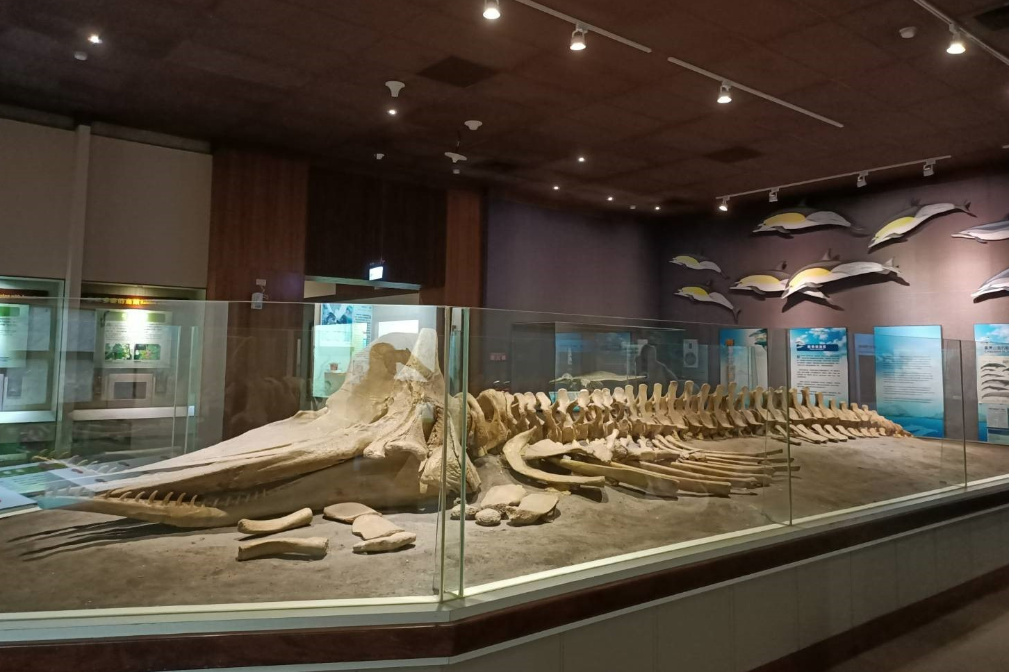 特有生物研究保育中心