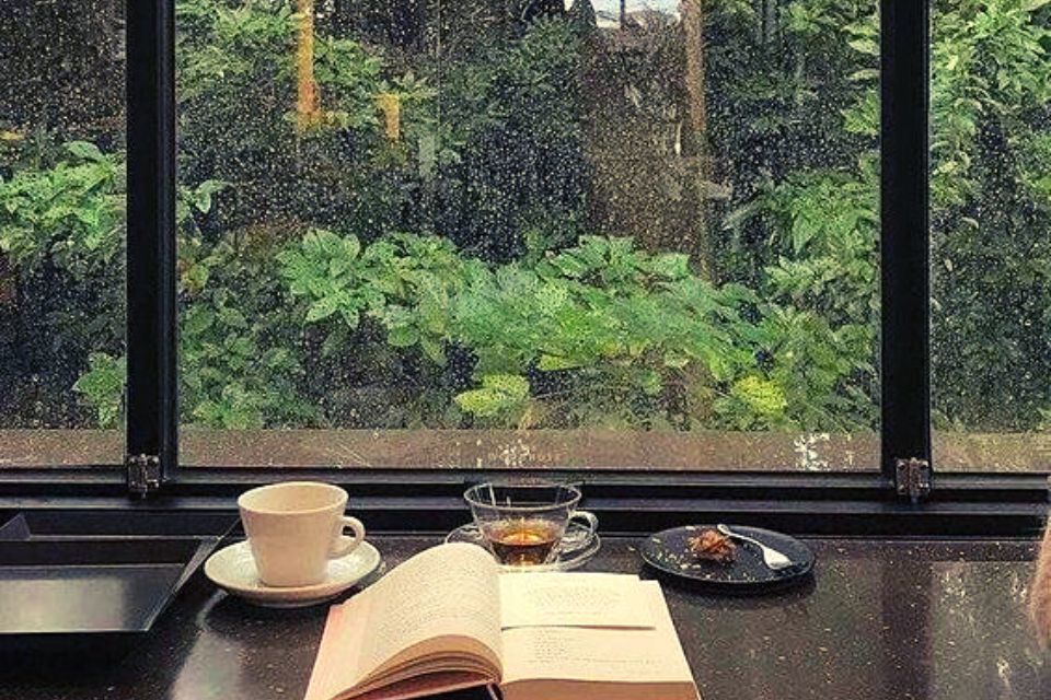 雨你讀的書