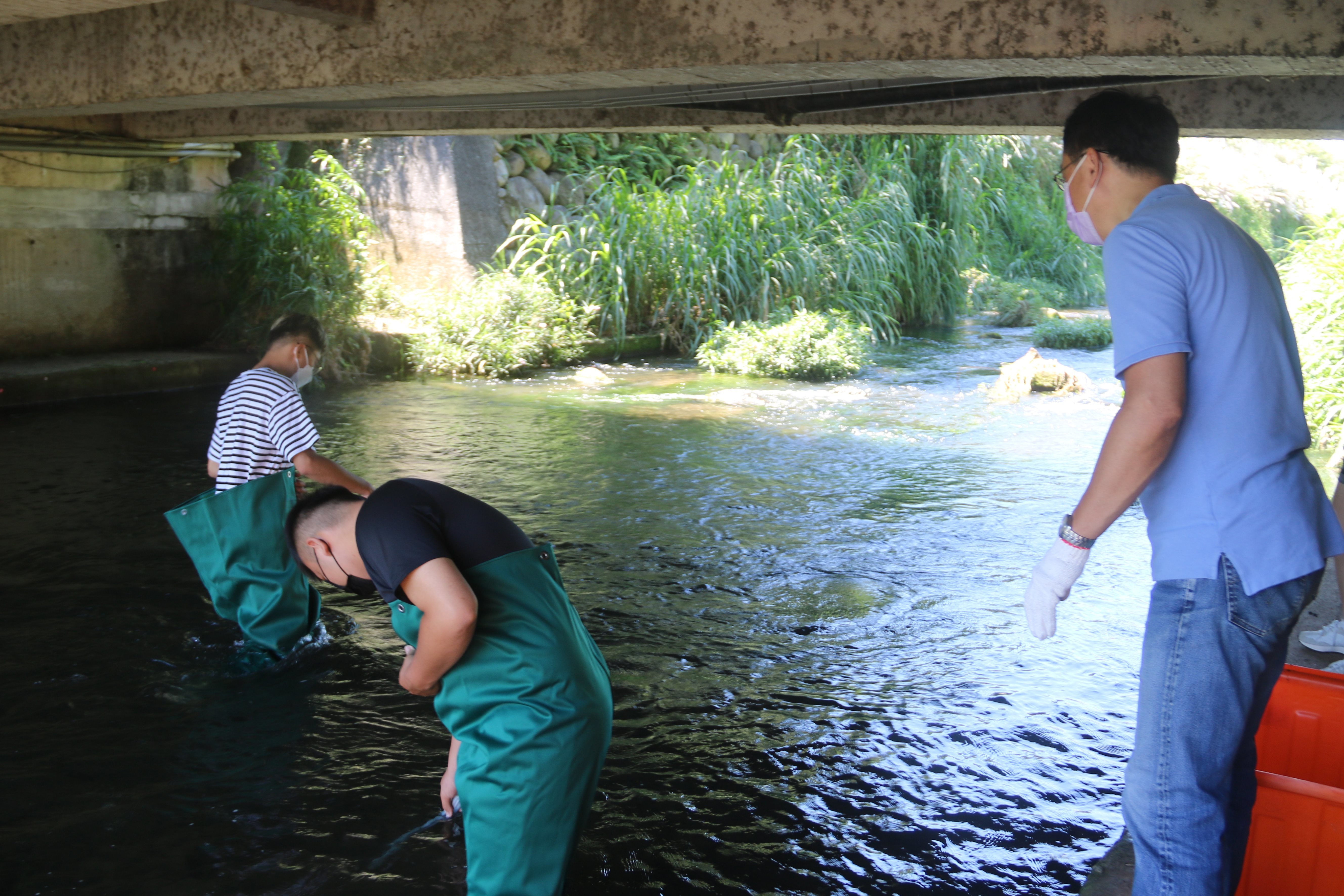 弘光科大環安系學生下水淨溪撿拾垃圾（圖源：弘光科大）