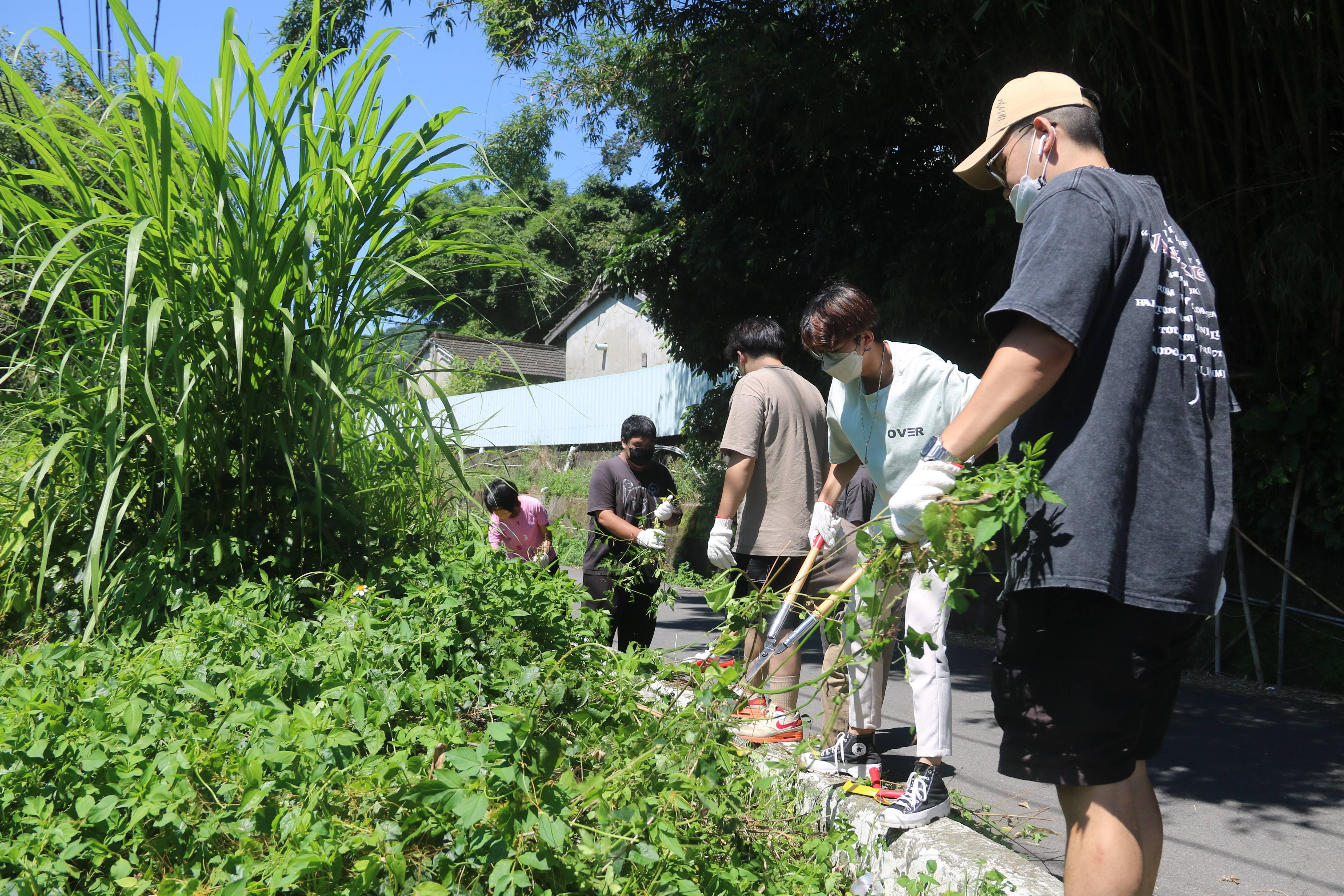 弘光科大環安系師生協助清除食水嵙溪畔的雜草（圖源：弘光科大）