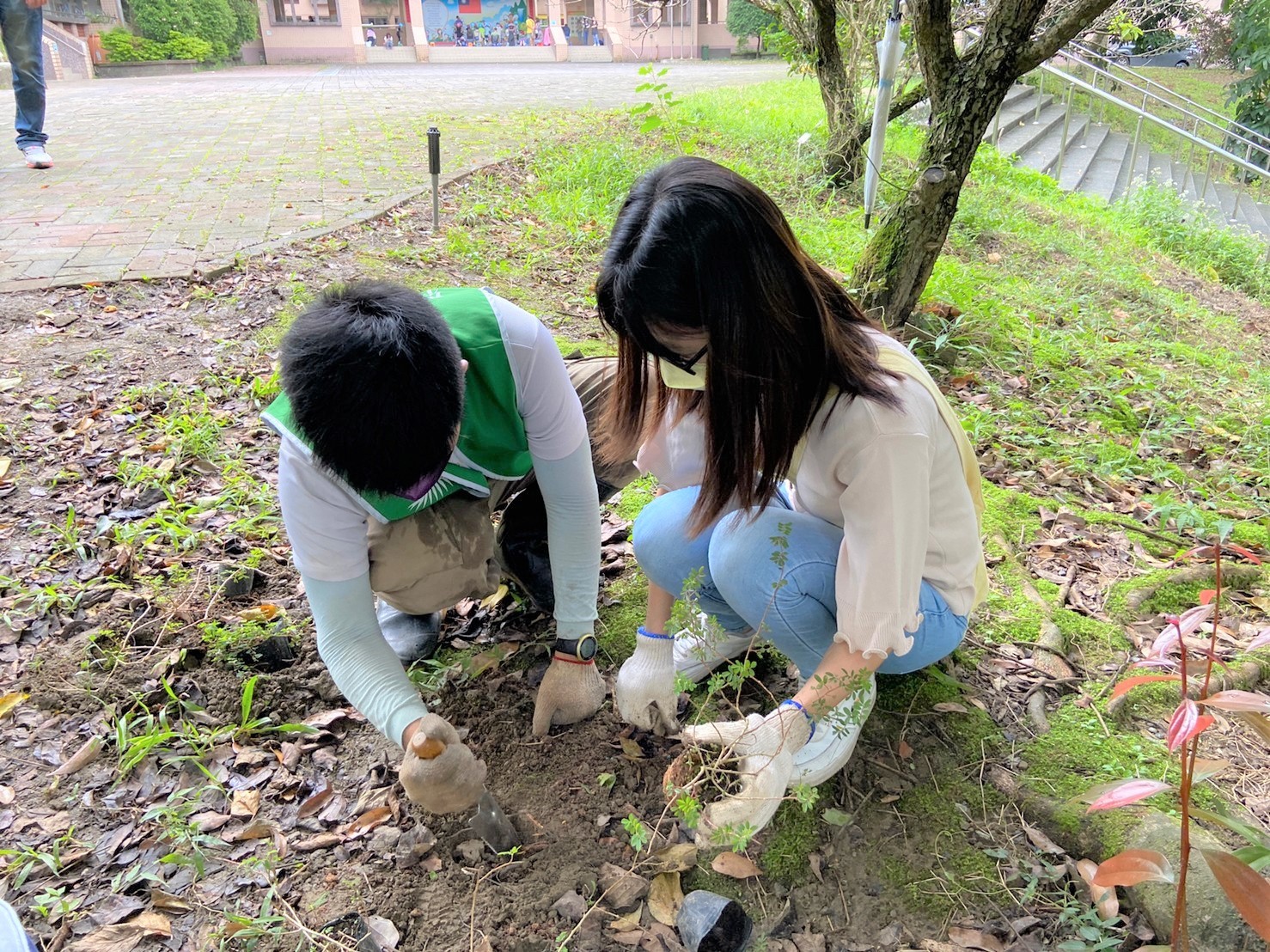 學生用心栽種原生植物 希望校園生態越來越豐富